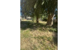 111 W D Street, Tehachapi, CA 93561