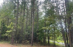 TBD DIXIE WINDS DR, Bremo Bluff, VA 23022