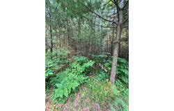 OAK BROOK RD lot: 8, Eagle River, WI 54521