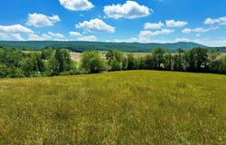 85 acre Coffey Rd lot: 1 & 2, Max Meadows, VA 24360