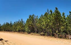 1050 Mcqueen Road, Patrick, SC 29584