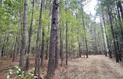 1 Clara Foote Rd, Braxton, MS 39044