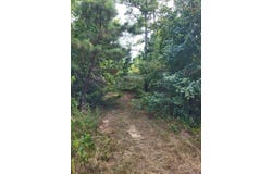 6077 US Hwy 96 N, Bronson, TX 75930