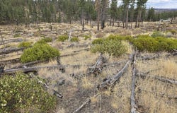 Partin Drive, Beatty, OR 97621
