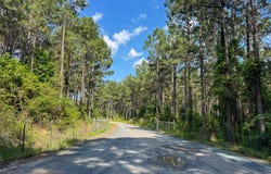Sam Booker Road, Mansfield, LA 71052