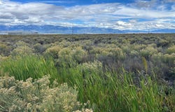 Highway 17, Moffat, CO 81143
