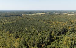 W Reynolds St, PONTOTOC, MS 38863