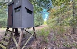 Hwy 562, Fort Necessity, LA 71243