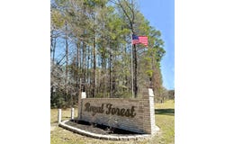 Royal Crk Road, Willis, TX 77303