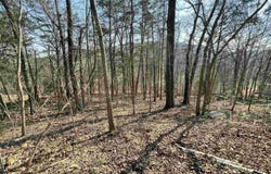 Peace Mountain Road, Mountain View, AR 72560