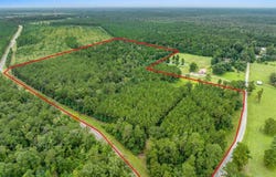 195 Ashworth Rd Road, Singer, LA 70660