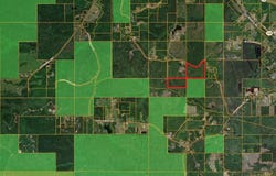 259 Forest Lake Road, Beaumont, MS 39423