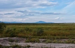 1010 N Plateau St, Marfa, TX 79843