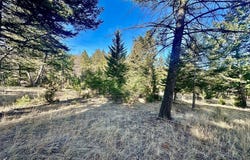 Martinez Gulch Road, Clancy, MT 59634
