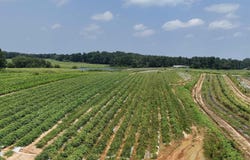 1780 COUNTY ROAD 42, STEELE, AL 35987