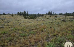 Parcel 16 Mountain View Road, Molt, MT 59057