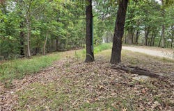 7203 Marion County 6061, Flippin, AR 72634