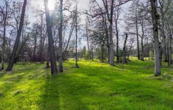 034 Soleado Lane, Redding, CA 96001