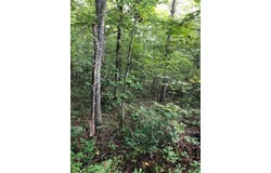 39 Luka Ln lot: 70, Crossville, TN 38572