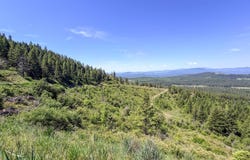 352X GREENE Rd, VALLEY, WA 99181