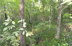 168 Reflections Drive, Marshall, AR 72650