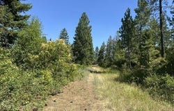 Parcel C Highway 95, Plummer, ID 83851