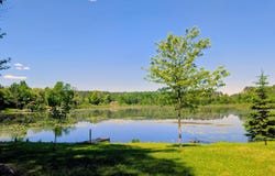 N11068 PINE TREE LN, Phillips, WI 54555