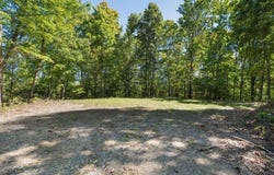 Mcnary Drive, Clyde, NC 28721