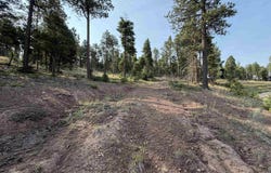 Luna lot: 1581, Angel Fire, NM 87710