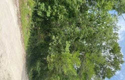 NE 808th, Old Town, FL 32680