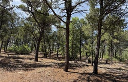 7 Dancing Hawk Drive, Pecos, NM 87552