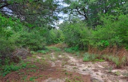 1420 CR C, Lexington, TX 78947