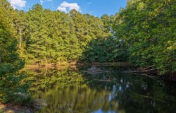 192 Dover Road NE, Resaca, GA 30735