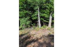 Old Forge Rd, Rocky Mount, VA 24151