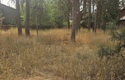 S Madelia St, Spokane, WA 99223