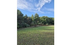 Adamson Lake Road, Kaleva, MI 49645