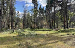 6120 Diamond Mountain Road, Taylorsville, CA 95983