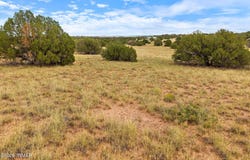 3919 Petersen Road, Snowflake, AZ 85937