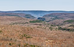 573AC Daus Mountain Rd, Palmer, TN 38365