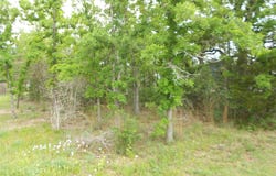 441 Tom Tom, Smithville, TX 78957