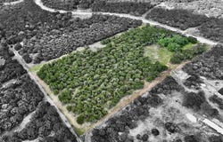 285 Donnie Drive, Lampasas, TX 76550