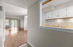 227 Schultz Street, Chapel Hill, NC 27514