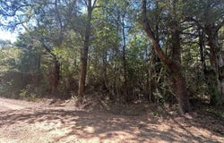 Highway 191, Noble, LA 71462