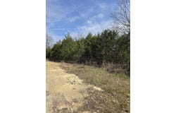 Beeler Road, Branson, MO 65616