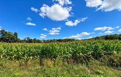 Blackmans Corners Road, Verona, NY 13478