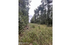 Us-264, Belhaven, NC 27810