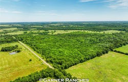 County Road 1019, Celeste, TX 75423