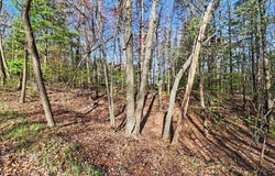 Silver Ridge Road lot: 11, Mears, MI 49436