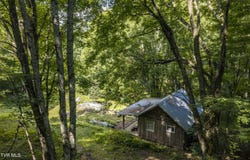 Rustic Log Cabin Lane, Roan Mountain, TN 37687