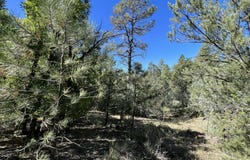 18 Quail Drive, Ramah, NM 87321